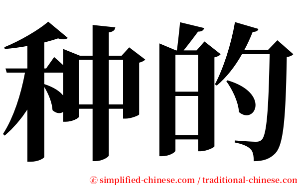 种的 serif font
