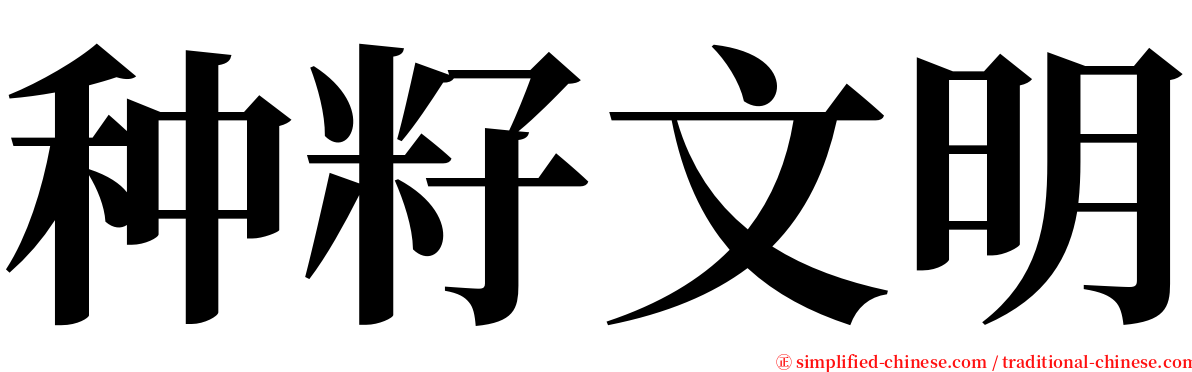 种籽文明 serif font