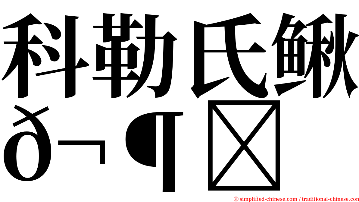 科勒氏鳅𬶍 serif font