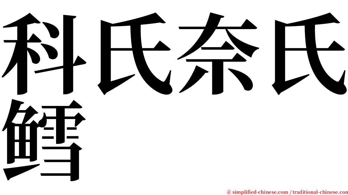 科氏奈氏鳕 serif font