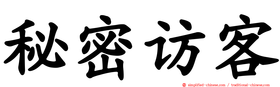 秘密访客