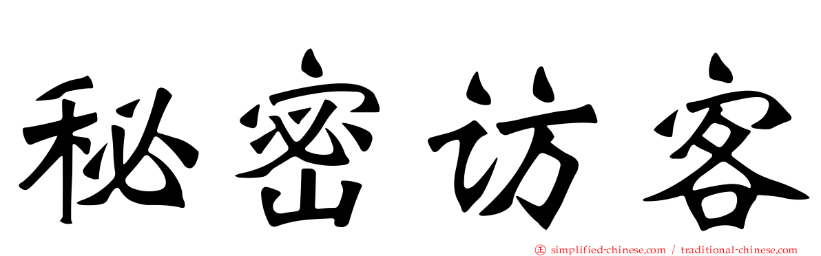 秘密访客