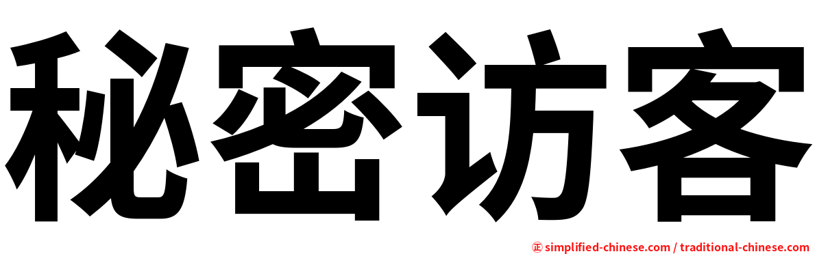 秘密访客