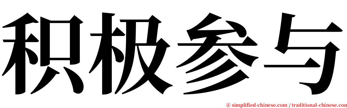积极参与 serif font