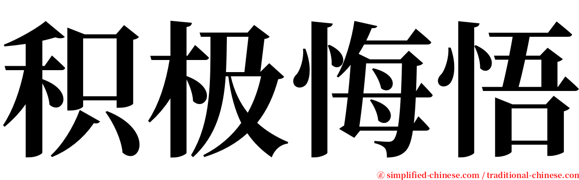积极悔悟 serif font