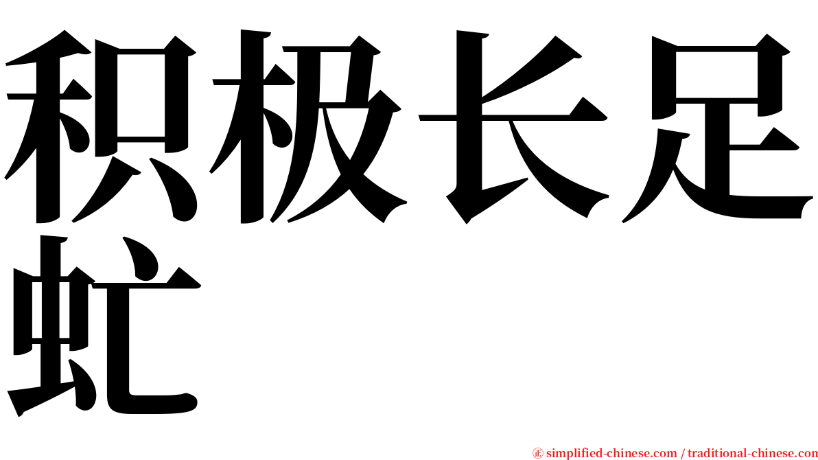 积极长足虻 serif font