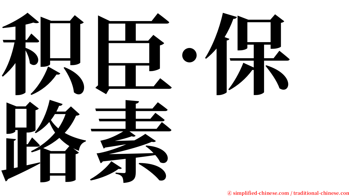 积臣·保路素 serif font