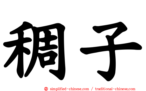稠子