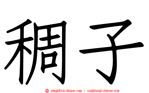 稠子