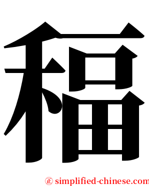 稫 serif font