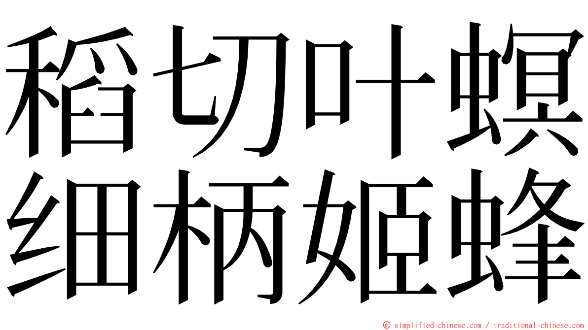 稻切叶螟细柄姬蜂 ming font