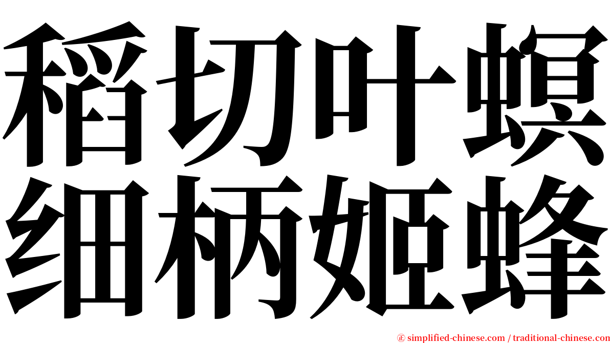 稻切叶螟细柄姬蜂 serif font