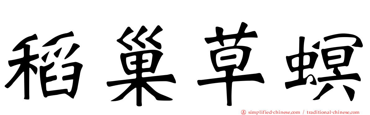 稻巢草螟