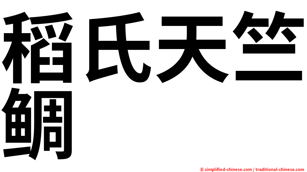 稻氏天竺鲷