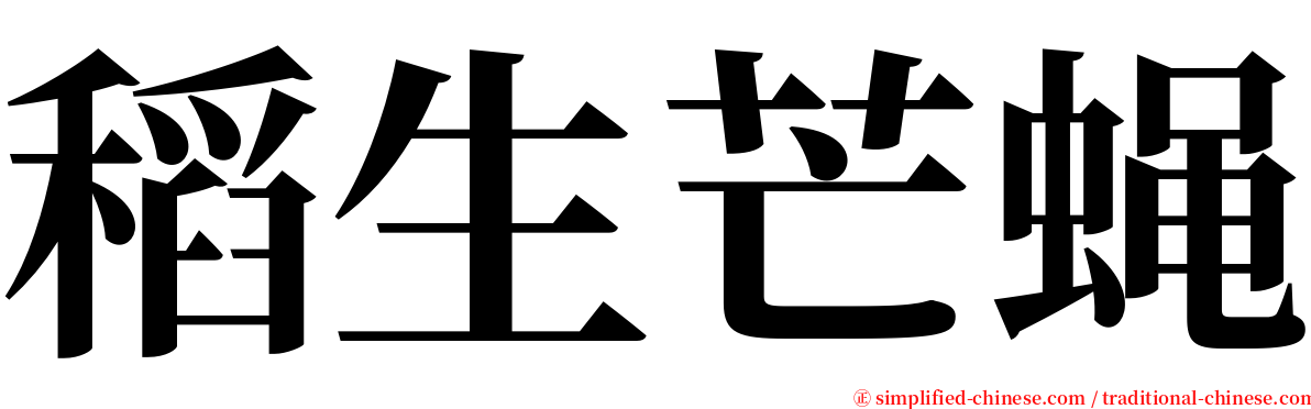 稻生芒蝇 serif font