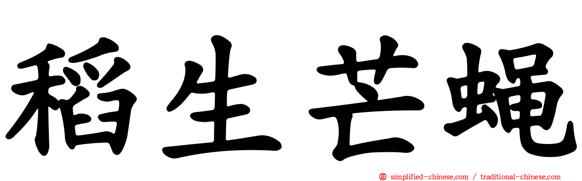 稻生芒蝇