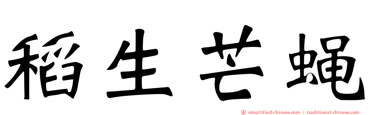 稻生芒蝇