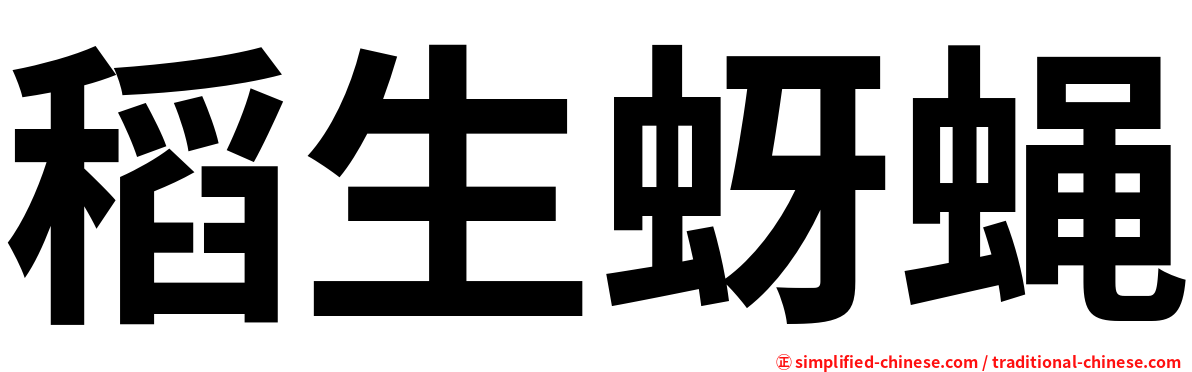 稻生蚜蝇