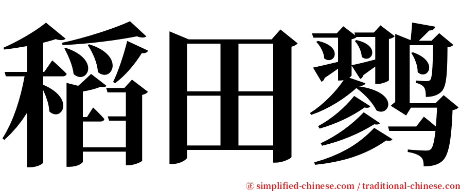 稻田鹨 serif font