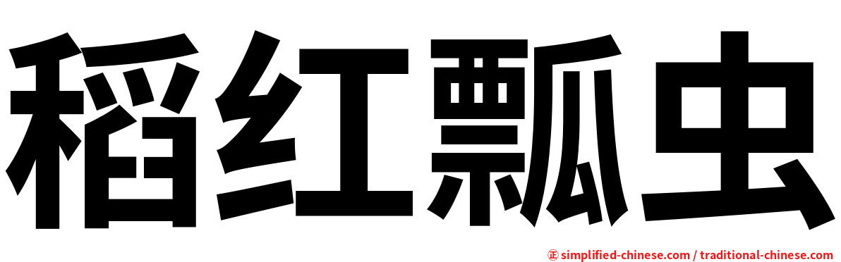 稻红瓢虫