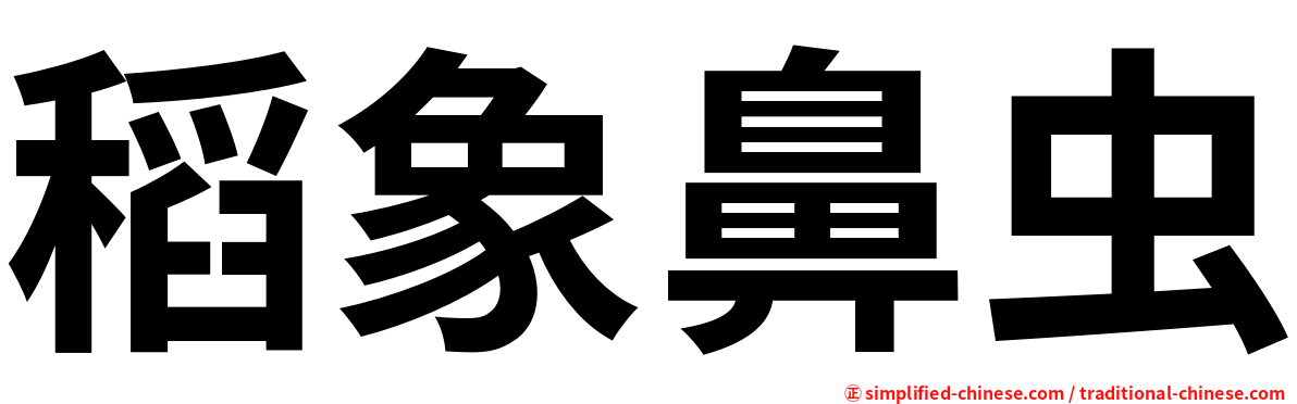 稻象鼻虫