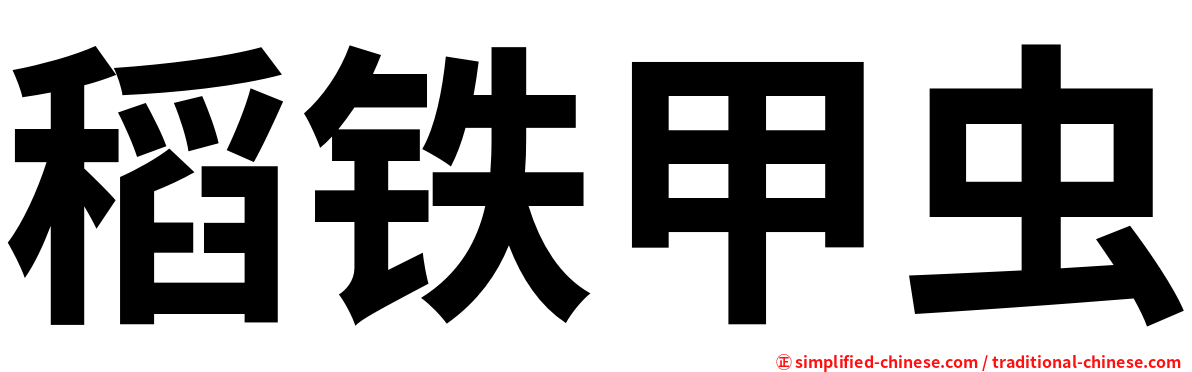 稻铁甲虫