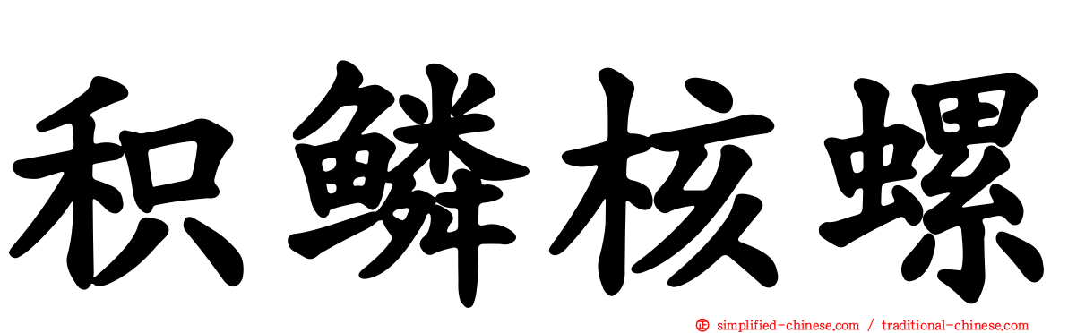 积鳞核螺