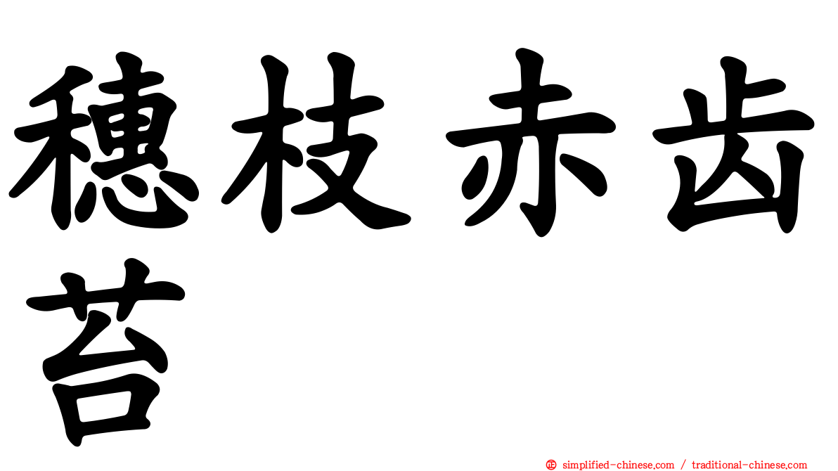 穗枝赤齿苔