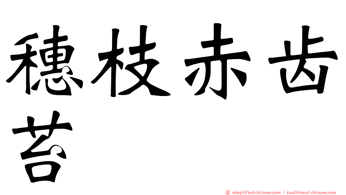 穗枝赤齿苔