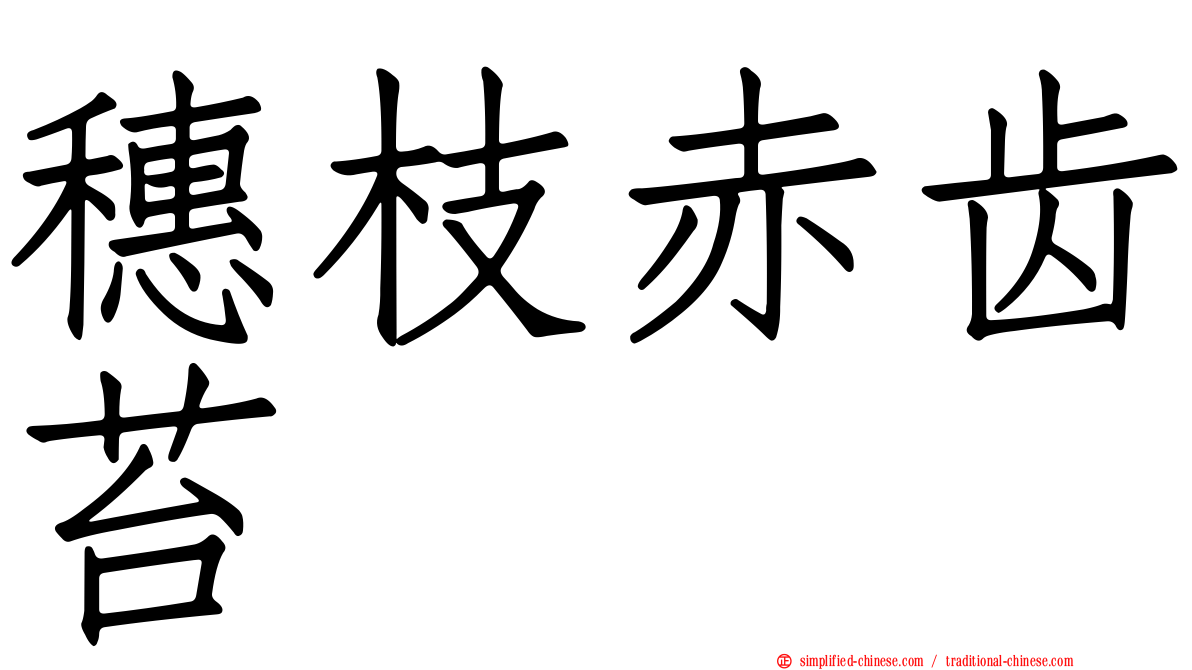 穗枝赤齿苔
