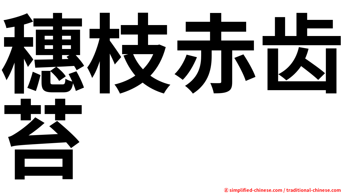 穗枝赤齿苔