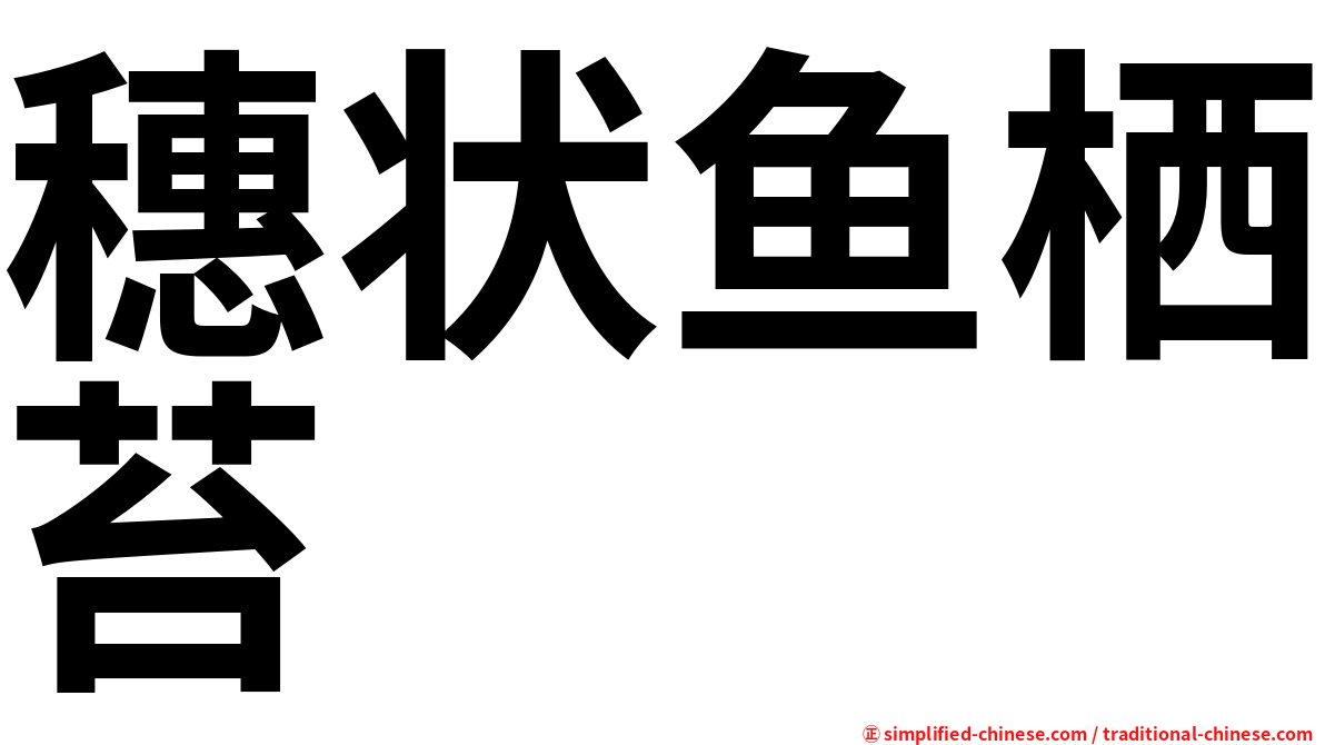 穗状鱼栖苔