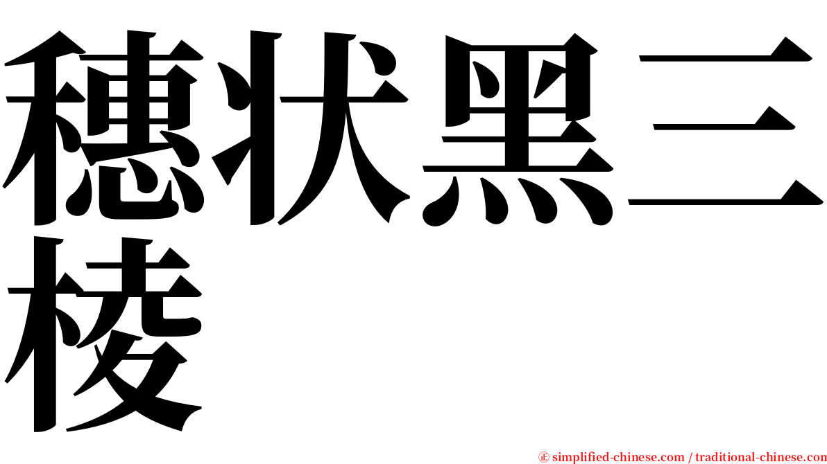 穗状黑三棱 serif font