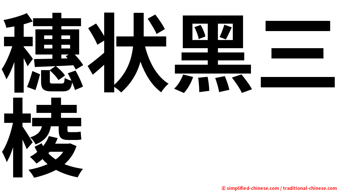 穗状黑三棱
