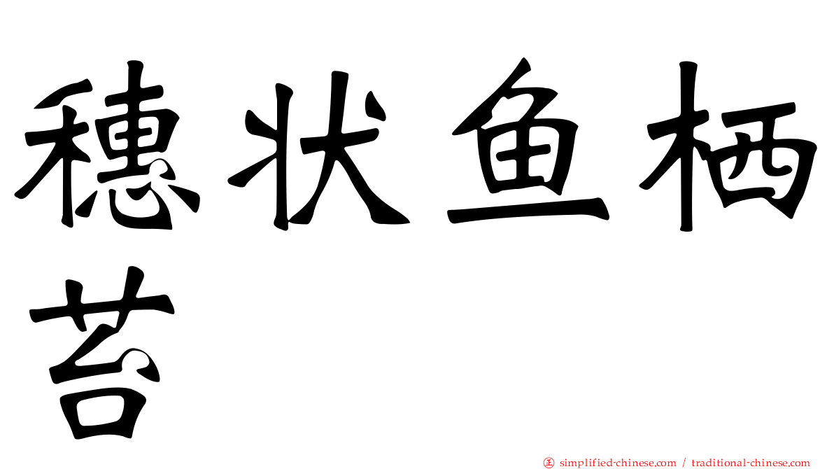 穗状鱼栖苔
