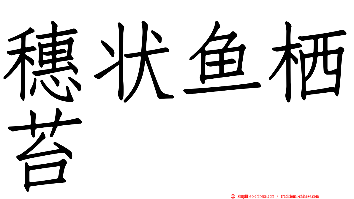 穗状鱼栖苔