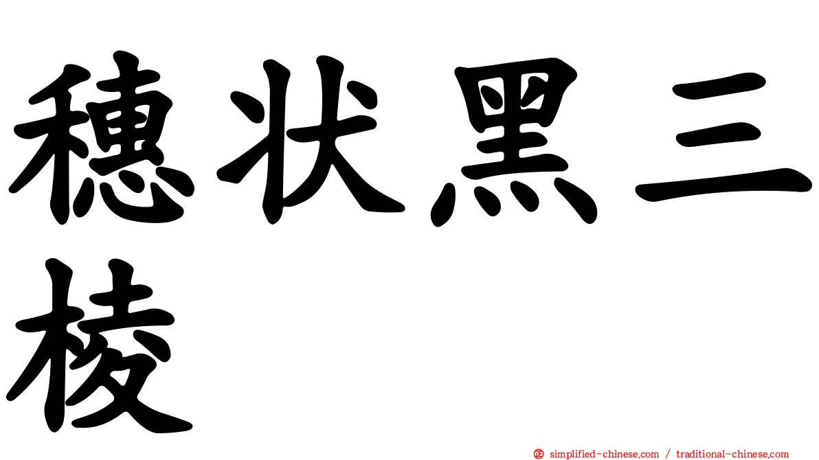 穗状黑三棱