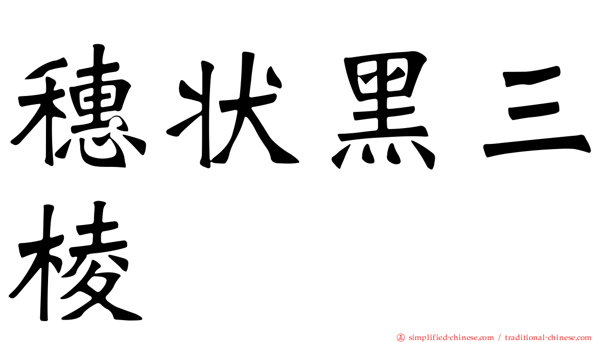穗状黑三棱