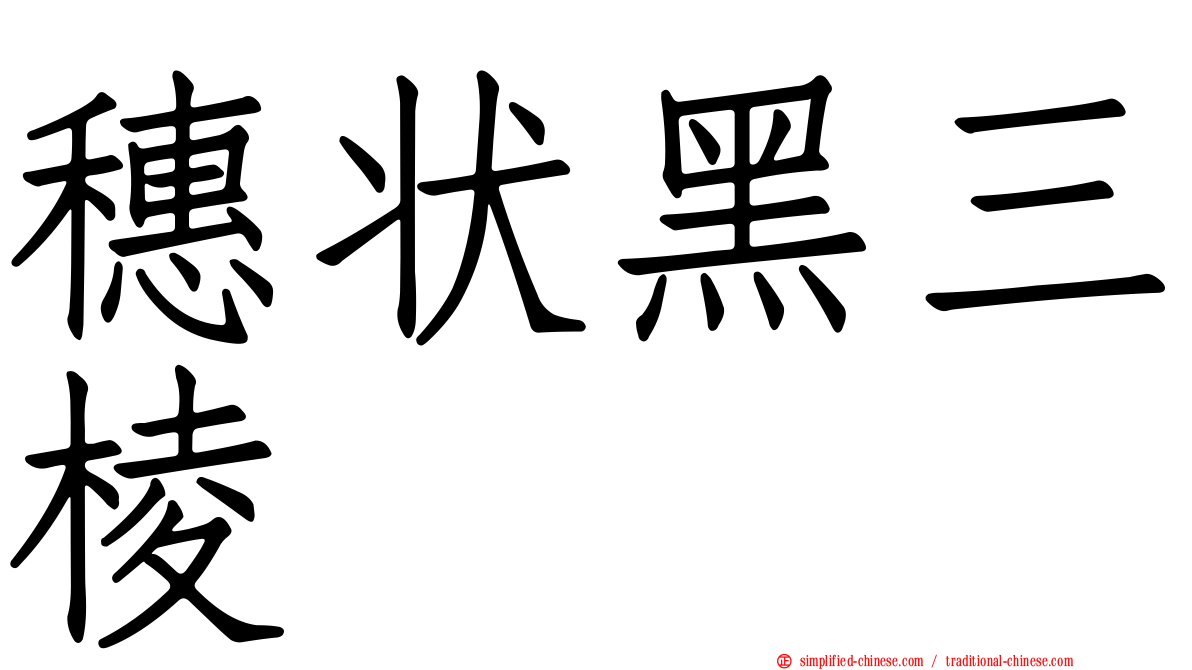 穗状黑三棱