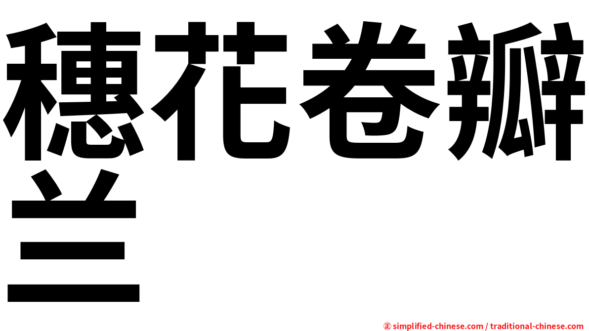 穗花卷瓣兰