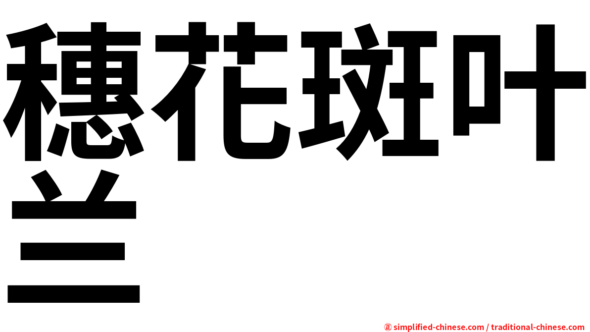 穗花斑叶兰