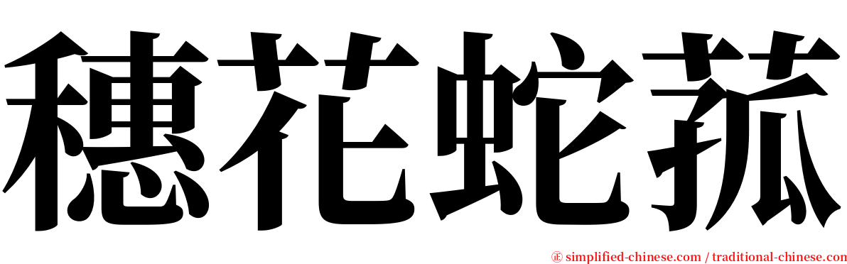穗花蛇菰 serif font