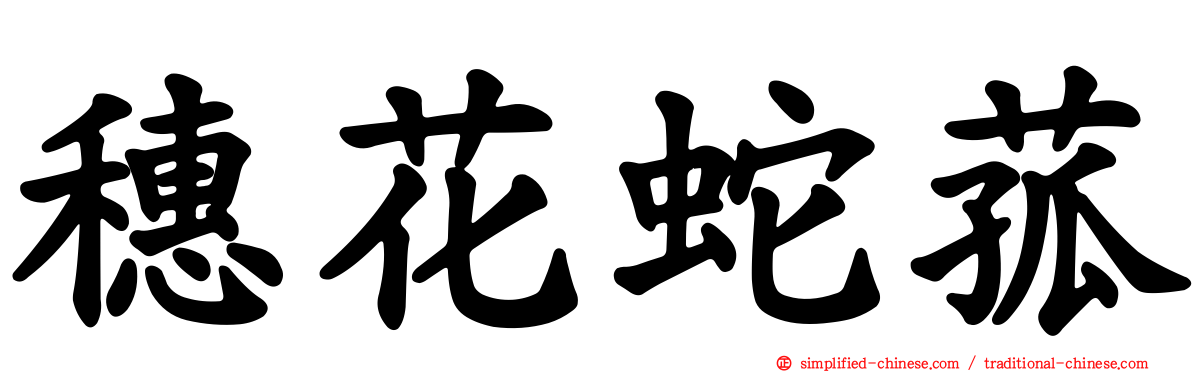 穗花蛇菰