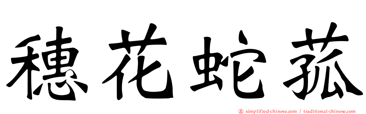 穗花蛇菰