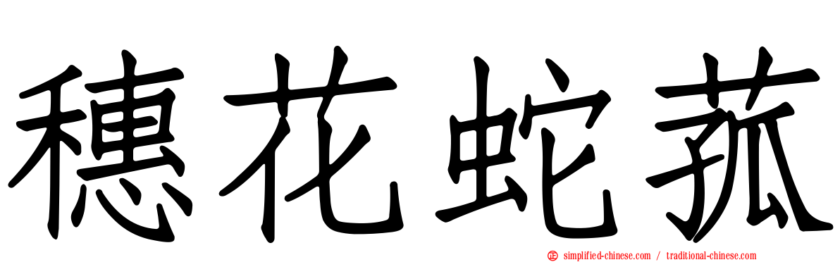穗花蛇菰