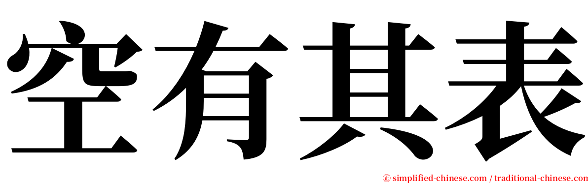 空有其表 serif font