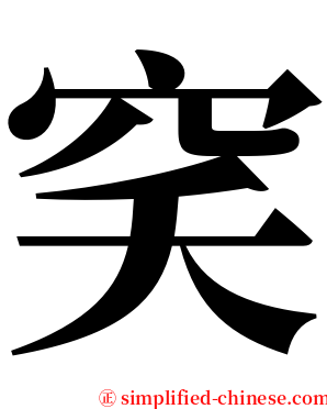 穾 serif font