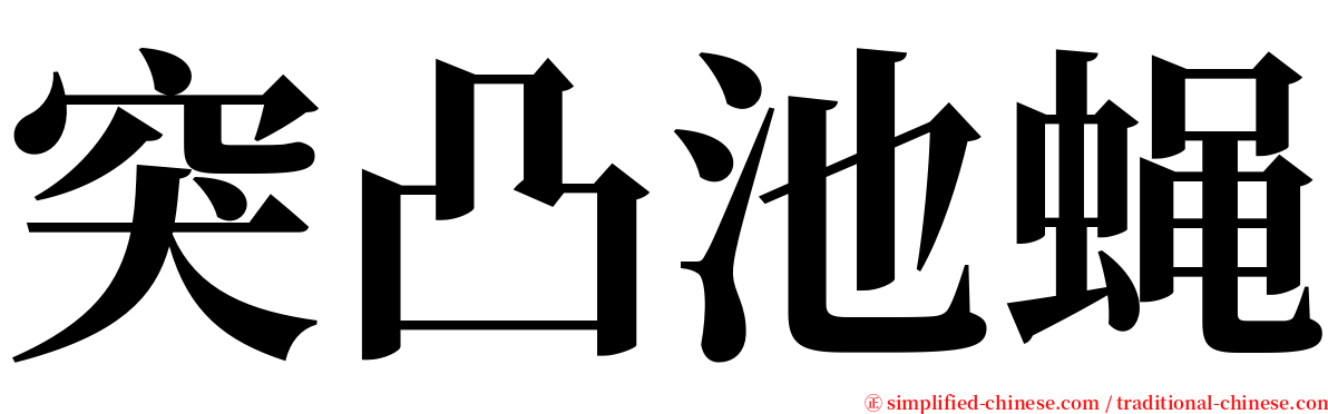 突凸池蝇 serif font