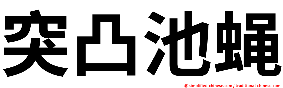突凸池蝇