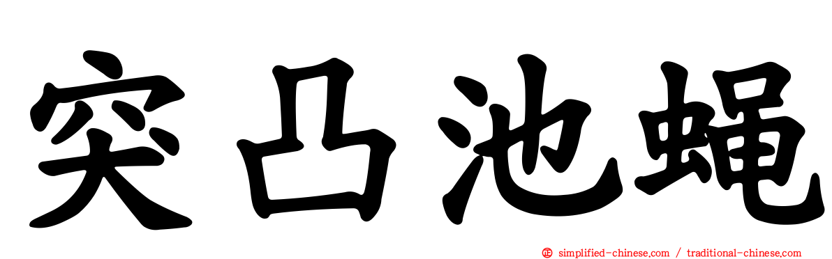 突凸池蝇